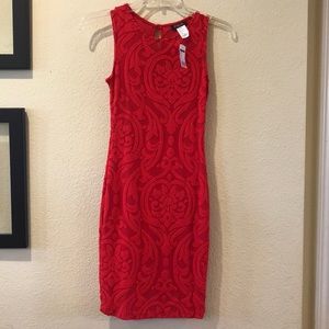 Kimcine Red Fitted Dress